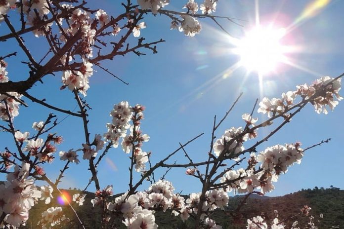 DANAS sunčano i veoma toplo