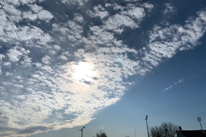 75640700_464812864221240_5831001627166769152_n