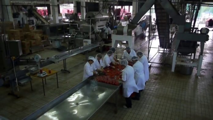 7ea71897c8301b89bfab091ac3fbc096_XL