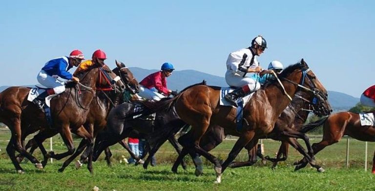 Konjičke trke 11. novembra u Etno selu