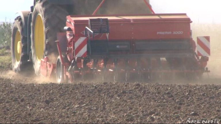 Za ovogodišnju jesenju sjetvu planirano oko 18.000 hektara