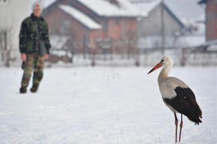 roda-bratunac-snjezana