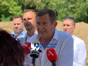 vojin mitrovic nedeljko coric