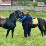 Dvorovi domaćin druge Fijakerijade: Ljubav prema konjima i tradiciji oživjela u Semberiji (foto) 8 viber slika 2025 04 26 15 31 42 350