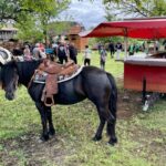 Dvorovi domaćin druge Fijakerijade: Ljubav prema konjima i tradiciji oživjela u Semberiji (foto) 6 viber slika 2025 04 26 15 31 43 530