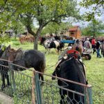 Dvorovi domaćin druge Fijakerijade: Ljubav prema konjima i tradiciji oživjela u Semberiji (foto) 1 viber slika 2025 04 26 15 31 43 743