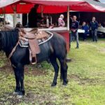 Dvorovi domaćin druge Fijakerijade: Ljubav prema konjima i tradiciji oživjela u Semberiji (foto) 2 viber slika 2025 04 26 15 31 43 968