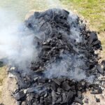 500615674 1210793644169950 8957070775802549037 n