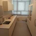 502463570 1206531747932176 8255866306276421532 n