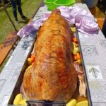 502686845 1210795697503078 5204452309092074423 n