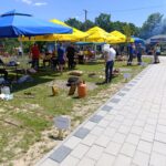 502865825 1210794790836502 5380160224846879017 n