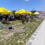 502986906 1210794667503181 8087524206428374461 n