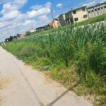 hase pjesacka staza trava1