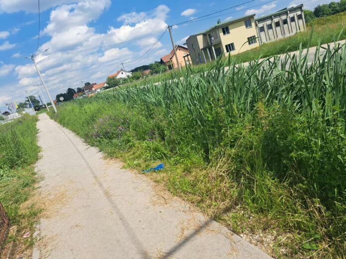 hase pjesacka staza trava1