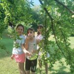 505402385 717395377507422 4400777848948640819 n