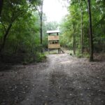 511268853 4207403156139742 9161556644260514692 n