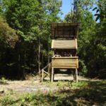 513977044 4208479749365416 5438500402265655183 n