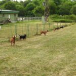 514402068 4207392982807426 2277331086562615829 n