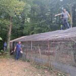 524128986 4237836776429713 4570324226946567709 n