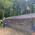 cadjavica lov fazani smestaj