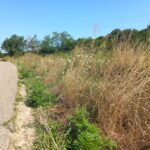 BIJELJINA: Materijal za izgradnju doma kulture u Donjim Zagonima na ledini od 2012. godine! (foto) 15 13 4