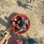 535604495 772572571989702 2457970070861023572 n