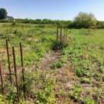 BIJELJINA: Materijal za izgradnju doma kulture u Donjim Zagonima na ledini od 2012. godine! (foto) 11 7 15