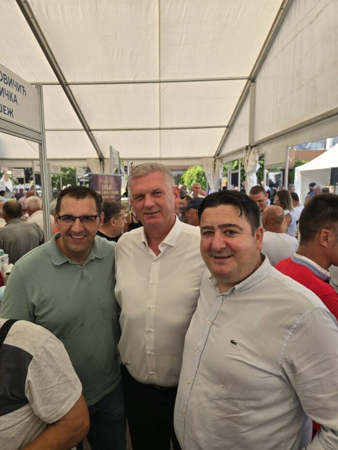 pdp slavisa ristic dakic ugljevik