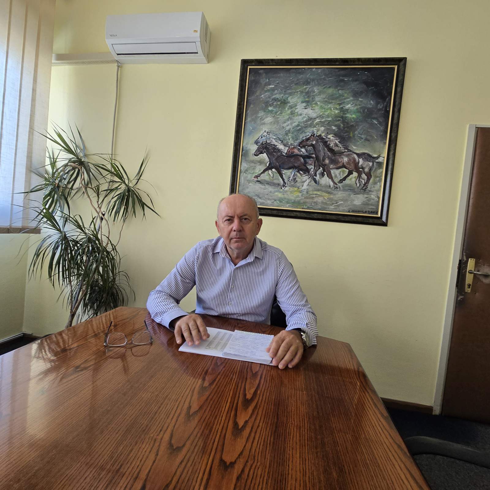 pedja micic ad grad1