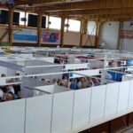 541929037 122161505696794364 6769204840017915058 n