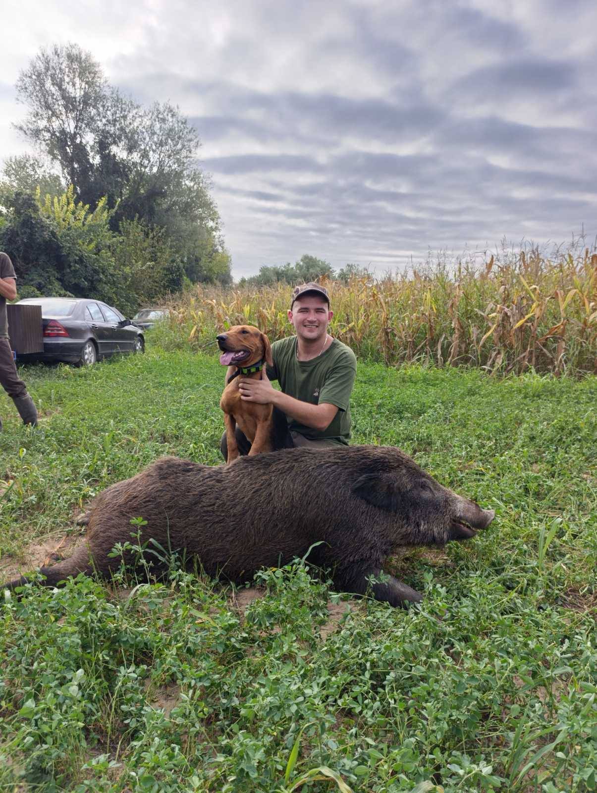 popovi stefan divlja svinja