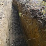 571264672 1225789822917613 7285014118851281168 n