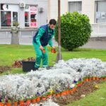 Jesen u najljepšim bojama na bijeljinskom trgu (foto) 1 trg bijeljina1