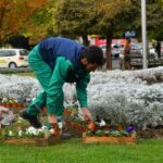 Jesen u najljepšim bojama na bijeljinskom trgu (foto) 4 trg bijeljina2
