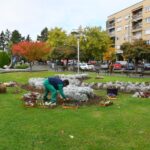 Jesen u najljepšim bojama na bijeljinskom trgu (foto) 2 trg bijeljina3