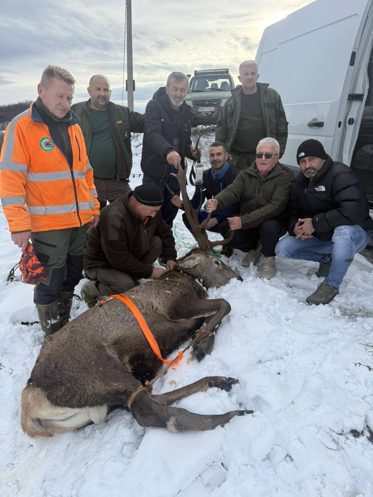 jelen majevica pomoc lovci lovac