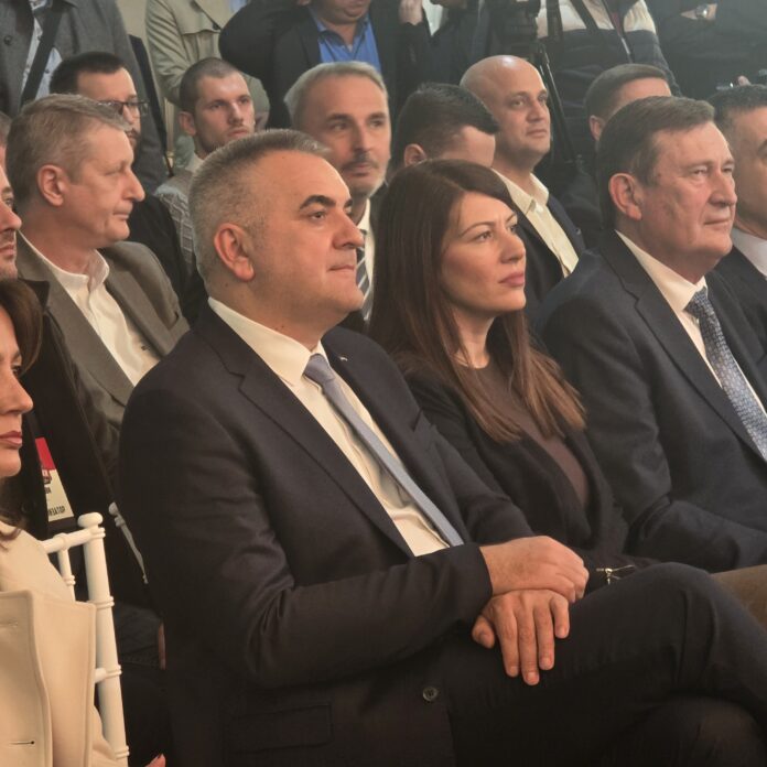 minic andjelka kuzmic