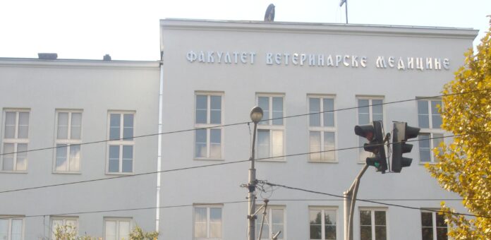 veterinarski beograd fakultet