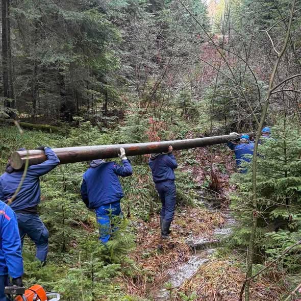 stubovi struja elektro bijeljina