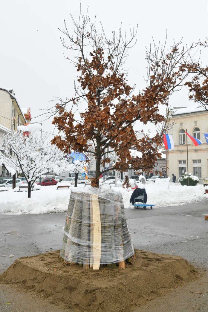 Badnjak grad bijeljina1287