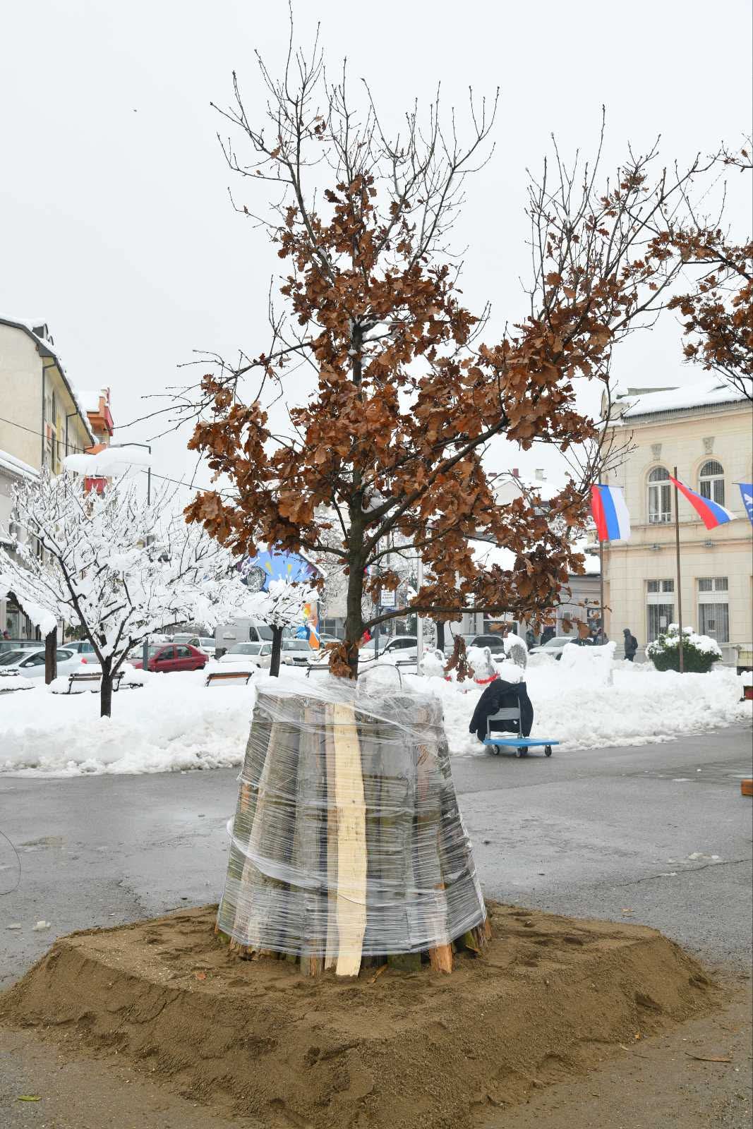 Badnjak grad bijeljina1287