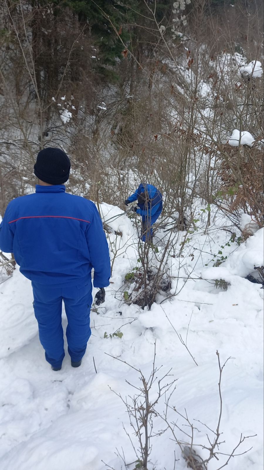 IMG 7b8b722f381b372dafa1e0fabf4e21c8 V