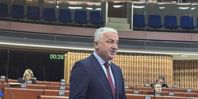 borenovic savjet evrope