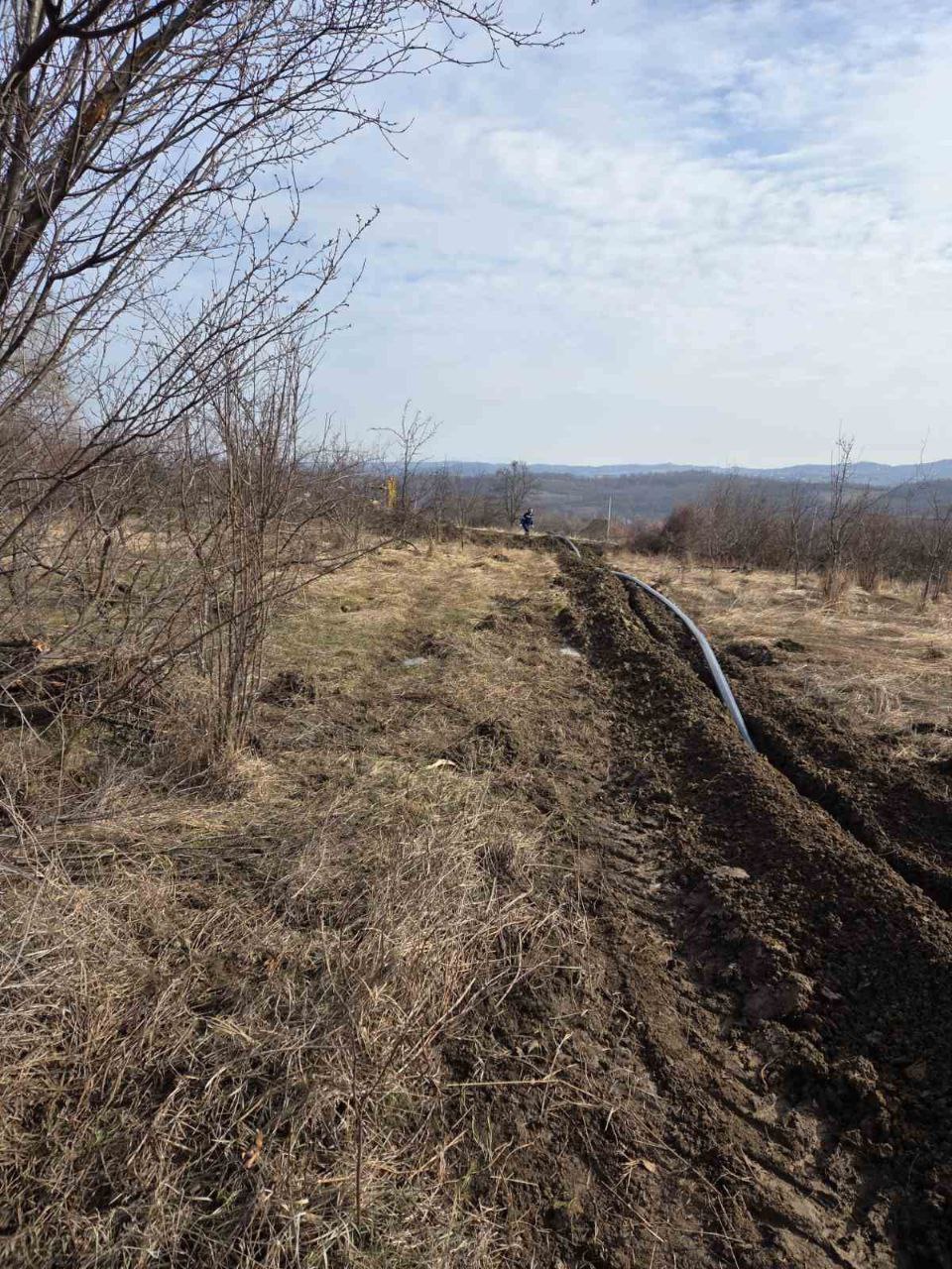 photo 2026 02 12 11.41.59