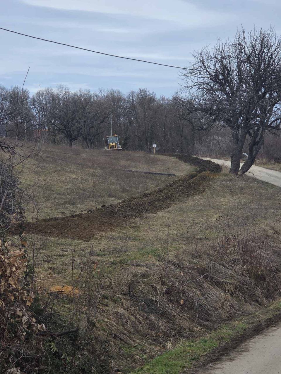 photo 2026 02 12 11.42.04