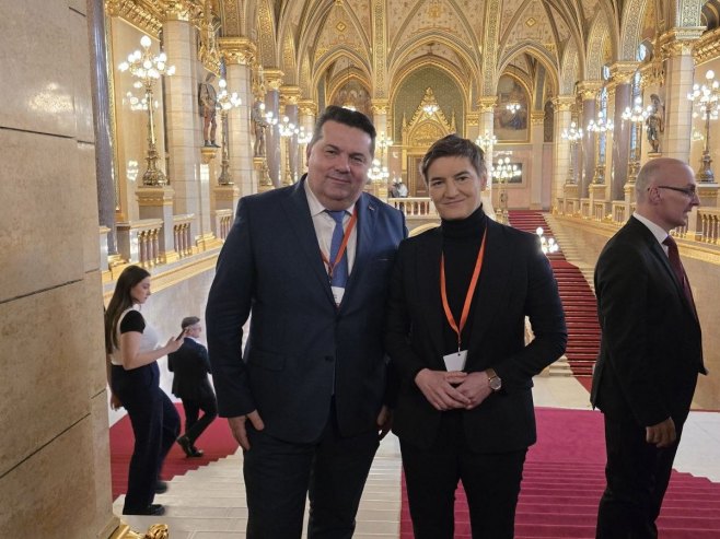 stevandic ana brnabic