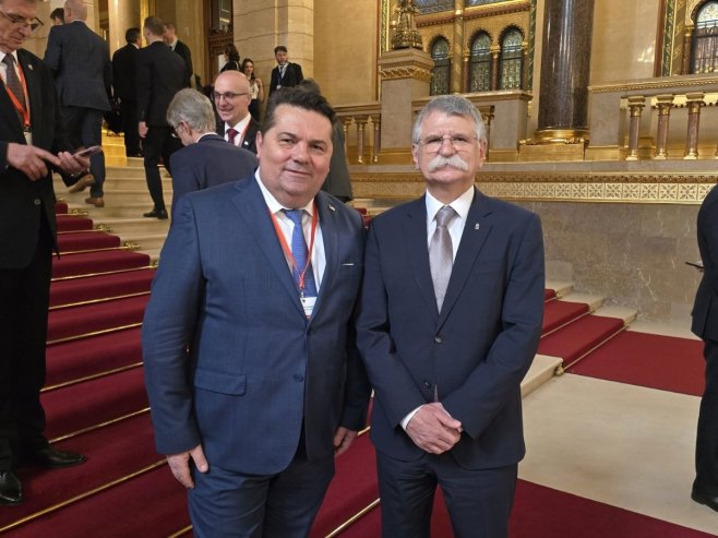 stevandic madjarska1