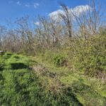 4 Parcela koja bi se mogla otkupiti