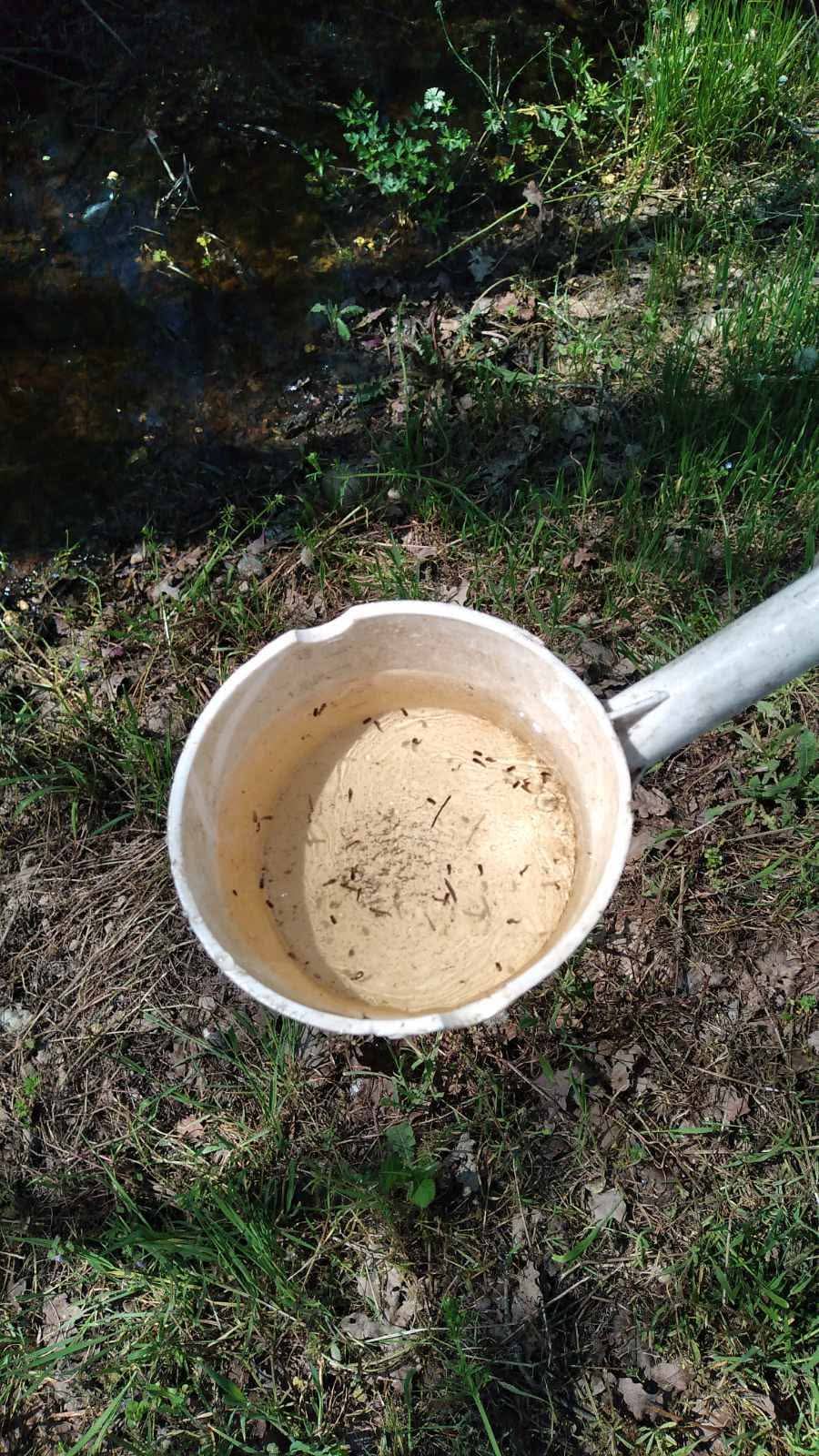 FB IMG 1776450908820