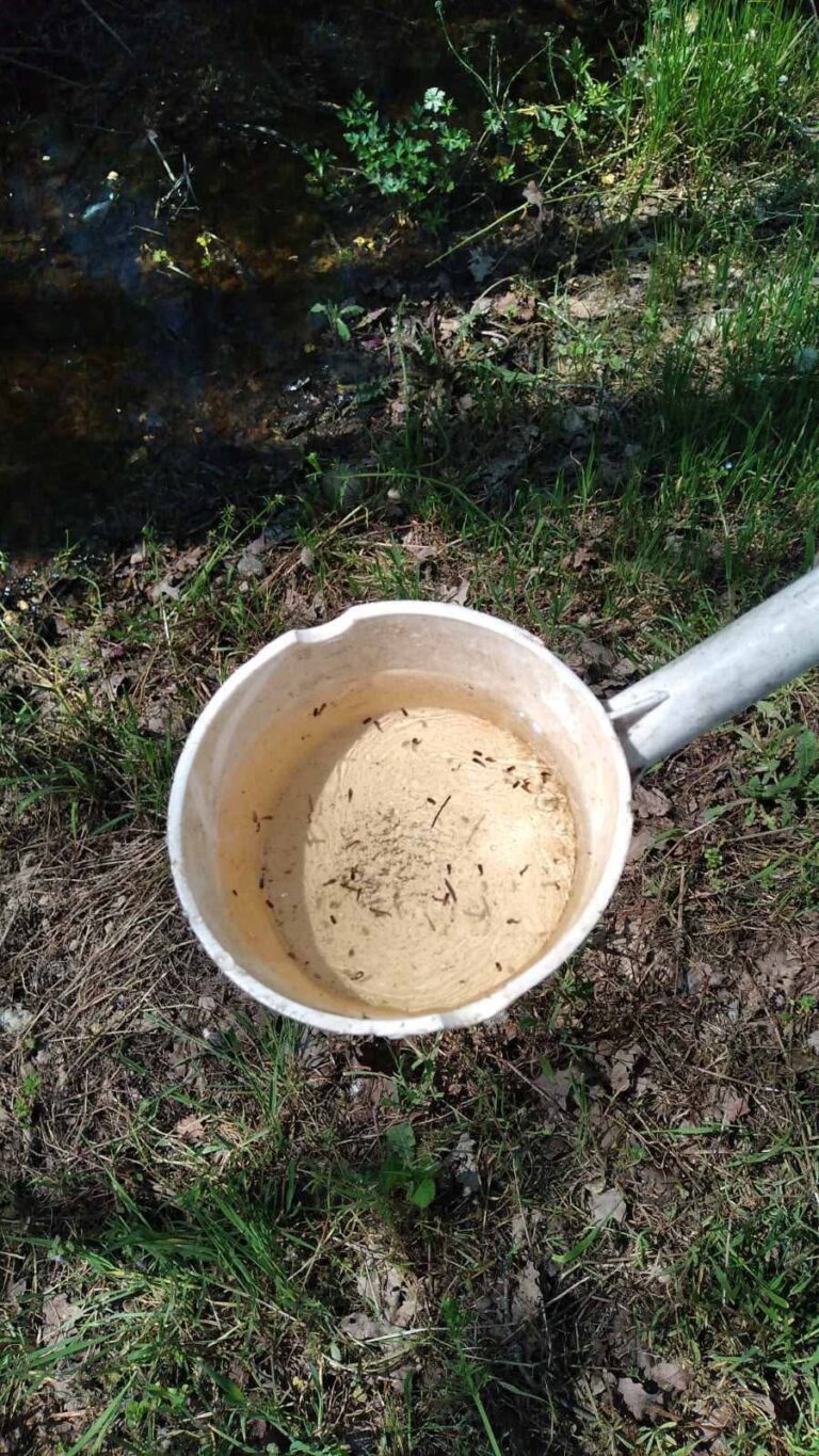 Počeo larvicidni tretman komaraca u Semberiji (foto)